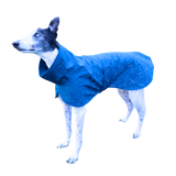 NEW! Reflective Dinosaurs - European Softshell Raincoat