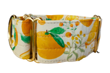 NEW! Citrus 2" Collar