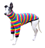NEW! Rainbow Stripes Long Sleeved Greyhound T-Shirt