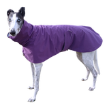 NEW! Purple Waterproof Raincoat - Limited Edition