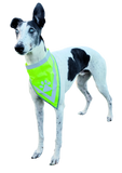 NEW! Trixie Reflective Neckerchief L–XL