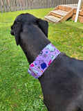 NEW! Purple Spooky 2" Collar