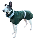 NEW! Dark Green Waterproof Raincoat
