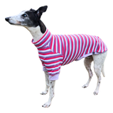 NEW! Berry Stripes Short Sleeved Greyhound T-Shirt