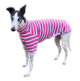 NEW! Berry Stripes Short Sleeved Greyhound T-Shirt