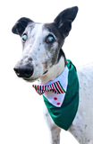 NEW! Holiday Pup Tux - Candy Cane Cutie 🍬💚❤️