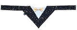 NEW! Holiday Pup Tux - Golden Starlight 🌠🌟