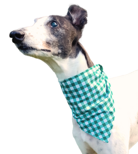 NEW! Bandana/Scarf - Green Gingham