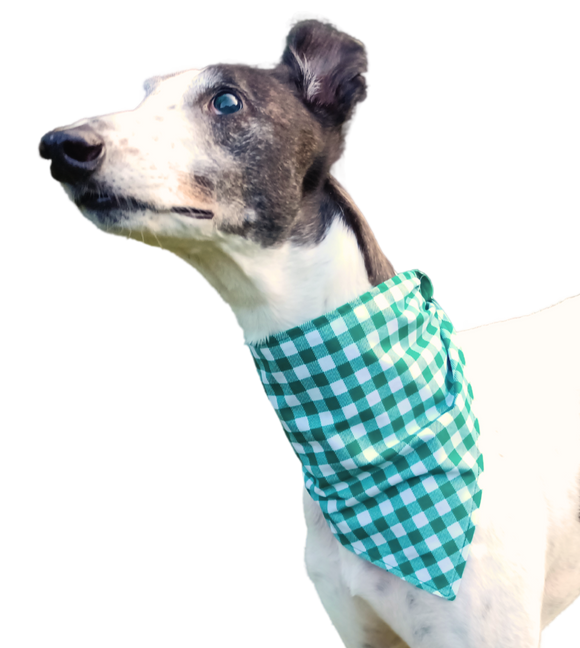 NEW! Bandana/Scarf - Green Gingham