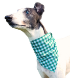 NEW! Bandana/Scarf - Green Gingham