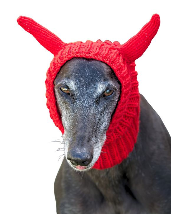 Little Devil Hat/Snood
