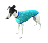 NEW! Green with White Dots Greyhound T-Shirt