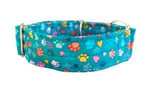 NEW! Teal with Colourful Paw Prints 1.5" Collar