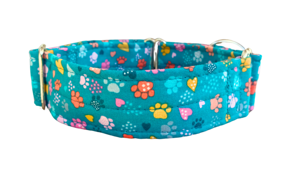 NEW! Teal with Colourful Paw Prints 1.5