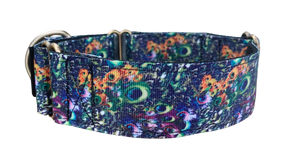 NEW! Colourful Abstract 1.5" collar