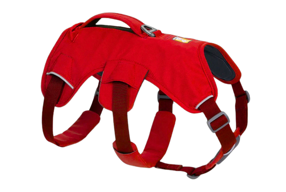 NEW! Ruffwear Webmaster Harness