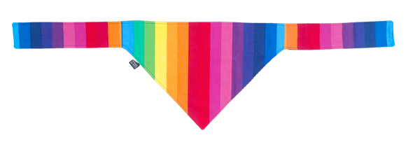 Bandana/Scarf - Rainbow Stripes
