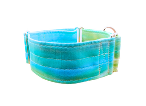 NEW! Teal Blue & Green 2" Collar