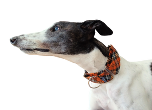 NEW! Pumpkin Tartan 2" Collar - MORE STOCK COMING SOON!