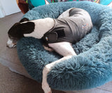 ThunderShirt - the effective solution for dog anxiety ON SALE