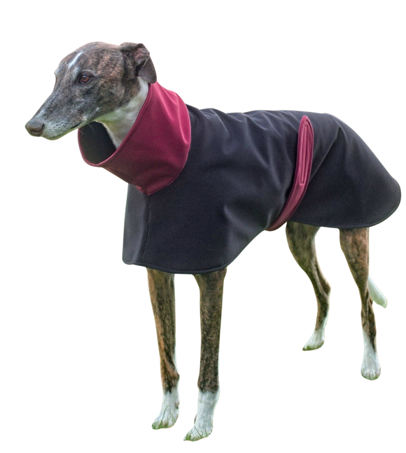 Navy with Burgundy Two-Tone Raincoat
