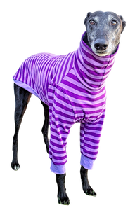 NEW! Purple Stripes Long Sleeved Greyhound T-Shirt