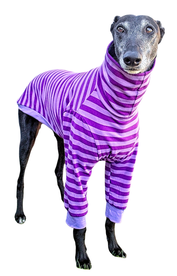 NEW! Purple Stripes Long Sleeved Greyhound T-Shirt