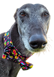 NEW! Bow Tie - Rainbow Hearts