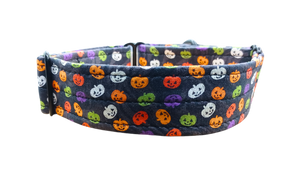 NEW LIMITED EDITION! Colourful Pumpkins 1.5" Collar