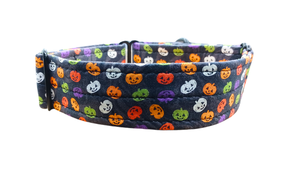 NEW LIMITED EDITION! Colourful Pumpkins 1.5