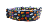 NEW LIMITED EDITION! Colourful Pumpkins 1.5" Collar