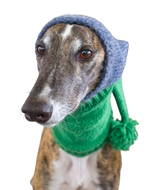 NEW! Knitted Hat - Green & Blue