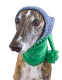 NEW! Knitted Hat - Green & Blue
