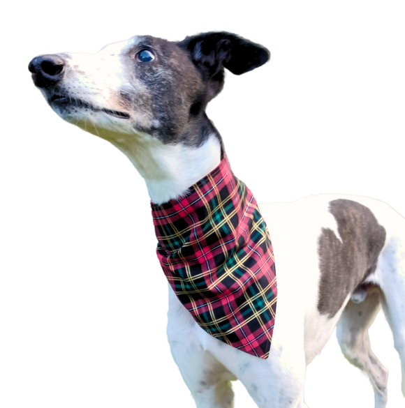 Bandana/Scarf - Red, Green & Gold Tartan