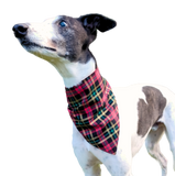 Bandana/Scarf - Red, Green & Gold Tartan