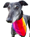 Bandana/Scarf - Rainbow Stripes
