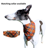 NEW! Summer Scarf - Pumpkin Orange Tartan