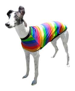 NEW Rainbow Stripes Greyhound T-Shirt