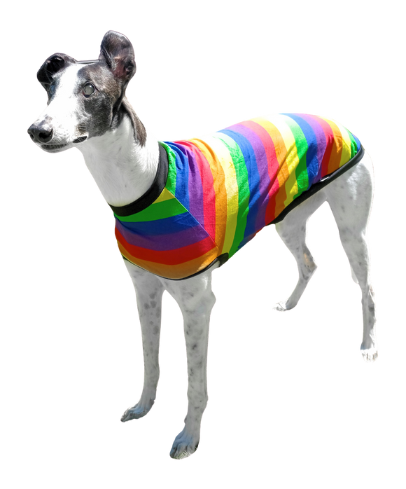 NEW Rainbow Stripes Greyhound T-Shirt