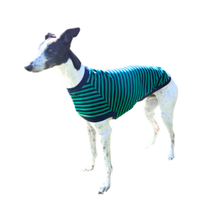 NEW! LIMITED EDITION Green & Navy Stripes Greyhound T-shirt