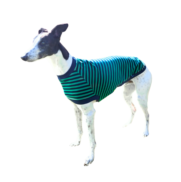 NEW! LIMITED EDITION Green & Navy Stripes Greyhound T-shirt