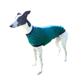 NEW! LIMITED EDITION Green & Navy Stripes Greyhound T-shirt