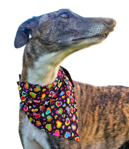 NEW! Bandana/Scarf - Rainbow Hearts