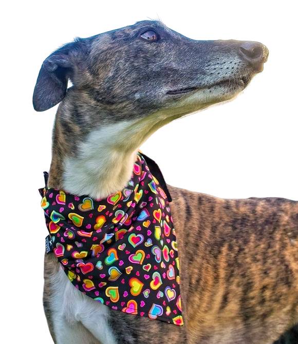 NEW! Bandana/Scarf - Rainbow Hearts