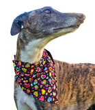 NEW! Bandana/Scarf - Rainbow Hearts