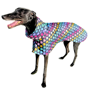 NEW Rainbow Hearts Deluxe Canvas Raincoat