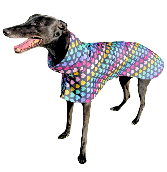 NEW Rainbow Hearts Deluxe Canvas Raincoat