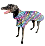 NEW Rainbow Hearts Deluxe Canvas Raincoat