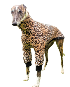Leopard Long Sleeved Greyhound T-Shirt - just 1 size medium left!
