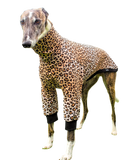 Leopard Long Sleeved Greyhound T-Shirt - just 1 size medium left!